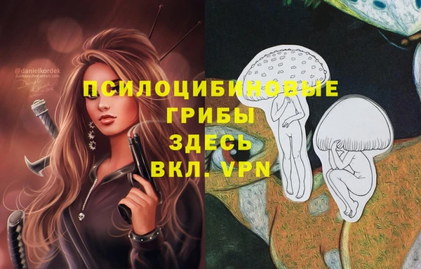 эйфоретик Семилуки