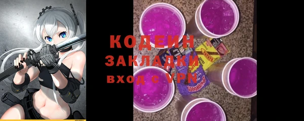 шишки Бородино