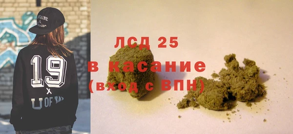 шишки Бородино