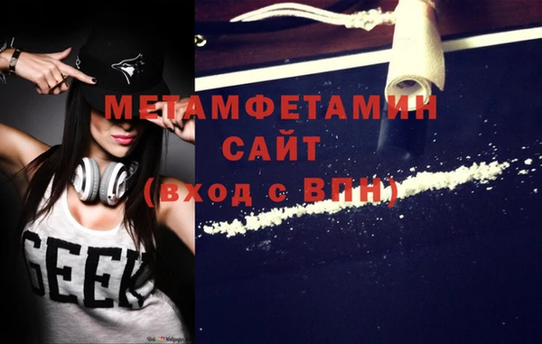 шишки Бородино