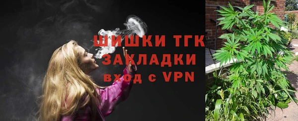 МДПВ Семёнов