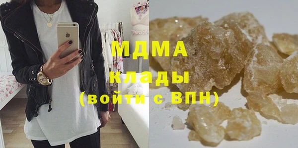 шишки Бородино
